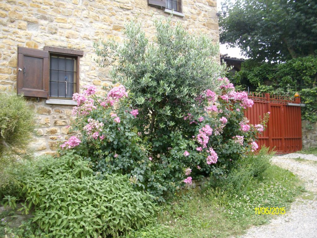 B&B San Nicola Serramazzoni Exterior photo