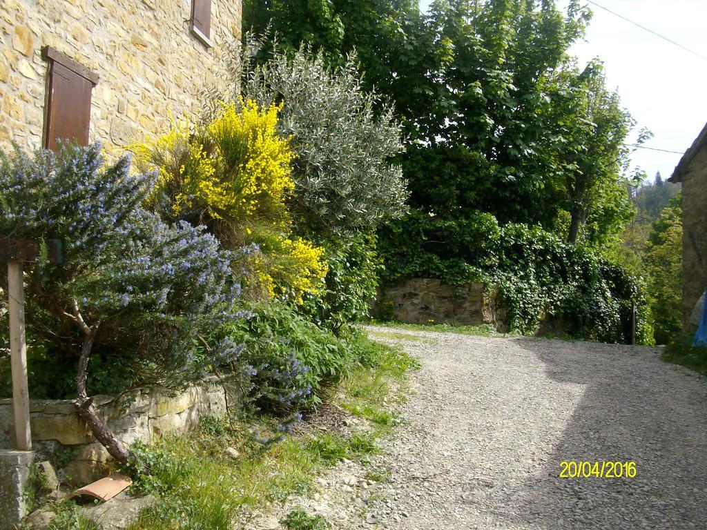 B&B San Nicola Serramazzoni Exterior photo
